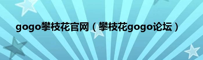 gogo攀枝花官网(攀枝花gogo论坛)