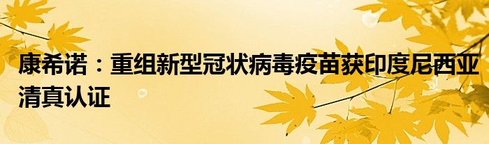 康希诺：重组新型冠状病毒疫苗获印度尼西亚清真认证
