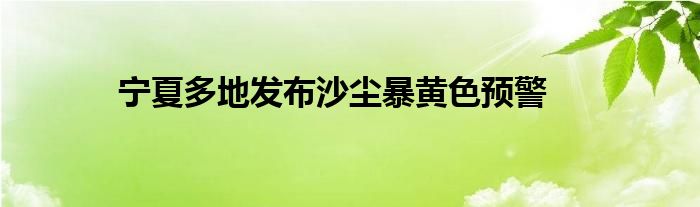宁夏多地发布沙尘暴黄色预警