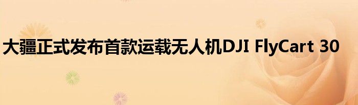 大疆正式发布首款运载无人机DJI FlyCart 30