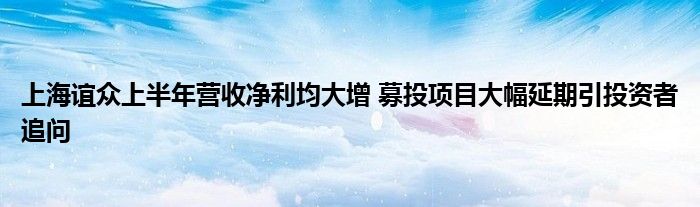 上海谊众上半年营收净利均大增 募投项目大幅延期引投资者追问