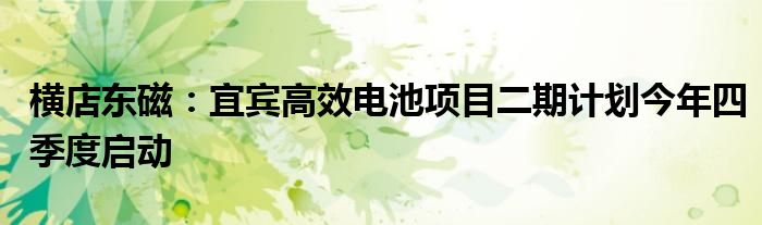 横店东磁:宜宾高效电池项目二期计划今年四季度启动