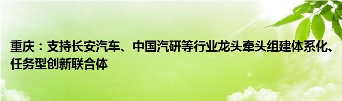 重庆：支持长安汽车、中国汽研等行业龙头牵头组建体系化、任务型创新联合体
