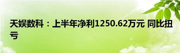 天娱数科:上半年净利1250.62万元 同比扭亏