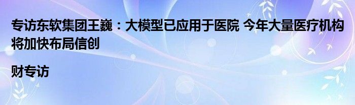 专访东软集团王巍:大模型已应用于医院 今年大量医疗机构将加快布局信创|财专访