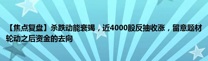 【焦点复盘】杀跌动能衰竭，近4000股反抽收涨，留意题材轮动之后资金的去向