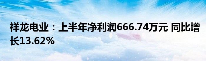 祥龙电业:上半年净利润666.74万元 同比增长13.62%