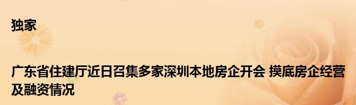 独家|广东省住建厅近日召集多家深圳本地房企开会 摸底房企经营及融资情况