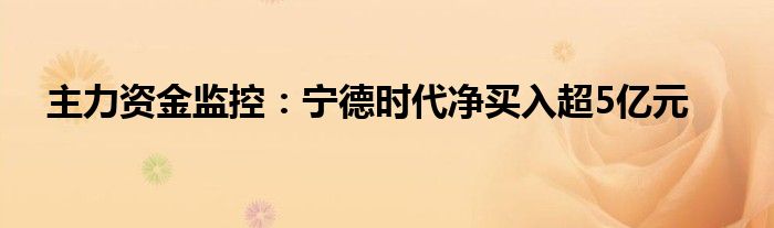 主力资金监控:宁德时代净买入超5亿元