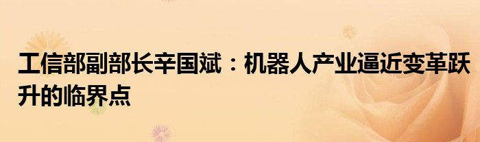 工信部副部长辛国斌:机器人产业逼近变革跃升的临界点