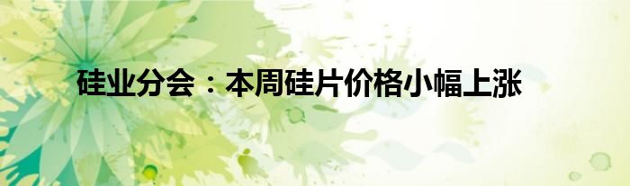 硅业分会:本周硅片价格小幅上涨