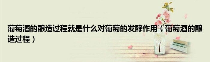葡萄酒的酿造过程就是什么对葡萄的发酵作用(葡萄酒的酿造过程)