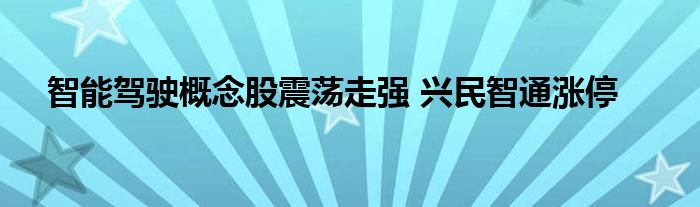 智能驾驶概念股震荡走强 兴民智通涨停