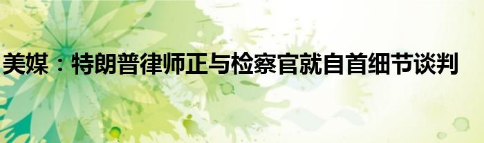 美媒:特朗普律师正与检察官就自首细节谈判
