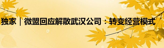 独家｜微盟回应解散武汉公司：转变经营模式