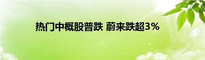 热门中概股普跌 蔚来跌超3%