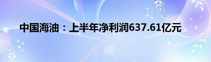 中国海油:上半年净利润637.61亿元