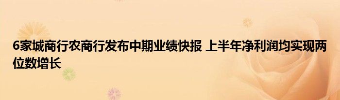 6家城商行农商行发布中期业绩快报 上半年净利润均实现两位数增长