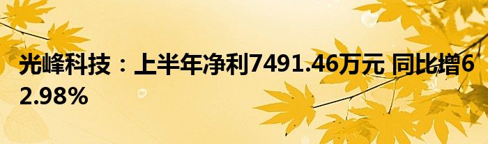 光峰科技:上半年净利7491.46万元 同比增62.98%