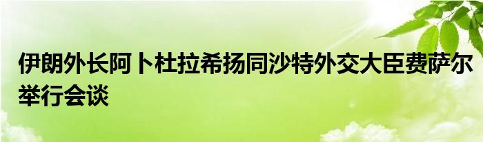 伊朗外长阿卜杜拉希扬同沙特外交大臣费萨尔举行会谈