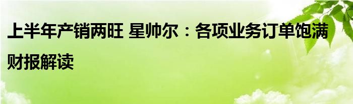 上半年产销两旺 星帅尔:各项业务订单饱满|财报解读