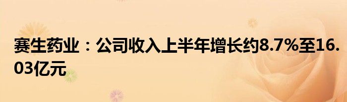 赛生药业:公司收入上半年增长约8.7%至16.03亿元