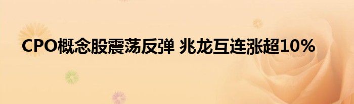 CPO概念股震荡反弹 兆龙互连涨超10%