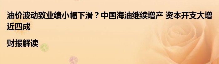油价波动致业绩小幅下滑?中国海油继续增产 资本开支大增近四成|财报解读