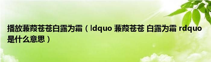 播放蒹葭苍苍白露为霜(ldquo 蒹葭苍苍 白露为霜 rdquo 是什么意思)