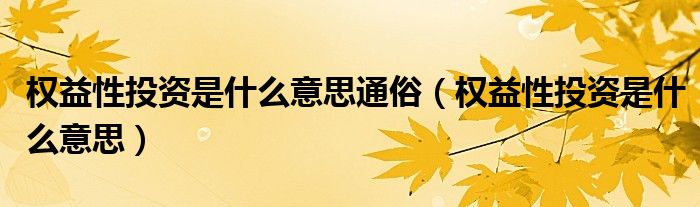 权益性投资是什么意思通俗（权益性投资是什么意思）