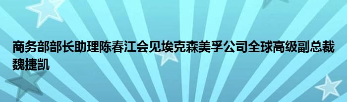 商务部部长助理陈春江会见埃克森美孚公司全球高级副总裁魏捷凯