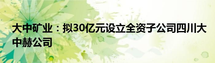 大中矿业:拟30亿元设立全资子公司四川大中赫公司