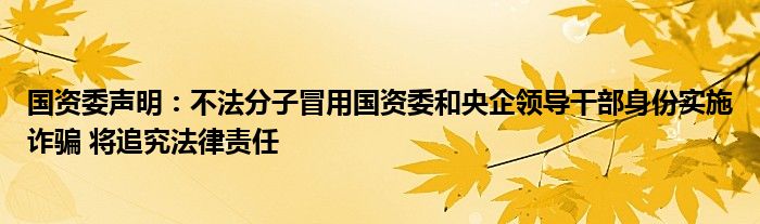 国资委声明:不法分子冒用国资委和央企领导干部身份实施诈骗 将追究法律责任