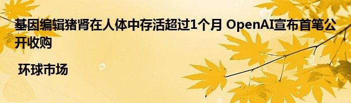 基因编辑猪肾在人体中存活超过1个月 OpenAI宣布首笔公开收购 | 环球市场