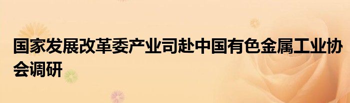 国家发展改革委产业司赴中国有色金属工业协会调研