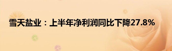 雪天盐业:上半年净利润同比下降27.8%