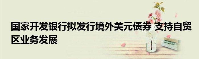 国家开发银行拟发行境外美元债券 支持自贸区业务发展
