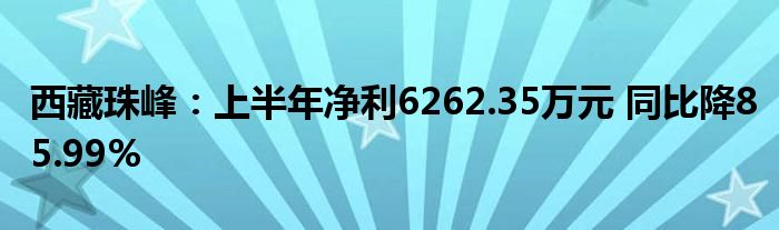 西藏珠峰:上半年净利6262.35万元 同比降85.99%