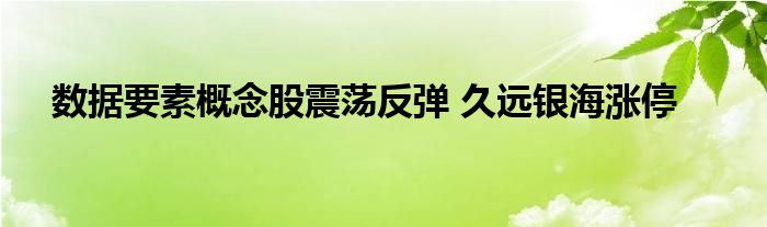 数据要素概念股震荡反弹 久远银海涨停
