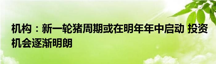 机构:新一轮猪周期或在明年年中启动 投资机会逐渐明朗