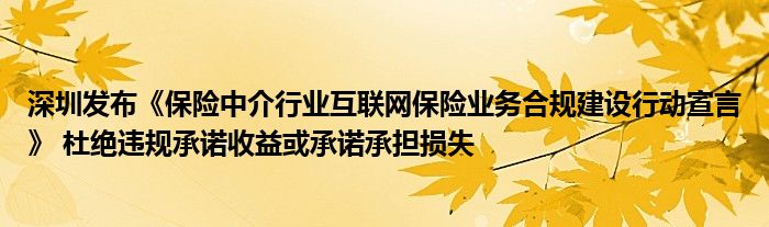 深圳发布《保险中介行业互联网保险业务合规建设行动宣言》 杜绝违规承诺收益或承诺承担损失