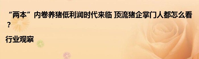 “两本”内卷养猪低利润时代来临 顶流猪企掌门人都怎么看?|行业观察