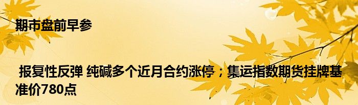 期市盘前早参 | 报复性反弹 纯碱多个近月合约涨停;集运指数期货挂牌基准价780点