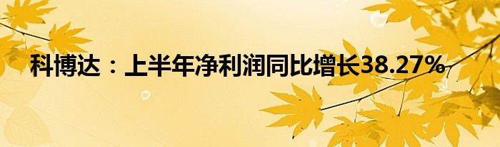 科博达：上半年净利润同比增长38.27%