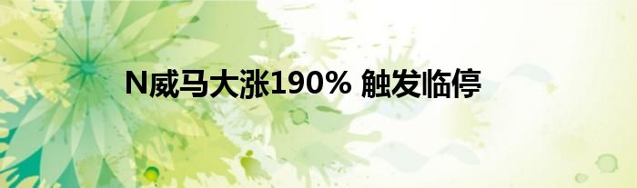 N威马大涨190% 触发临停