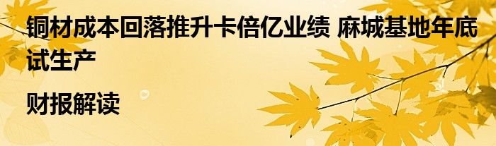 铜材成本回落推升卡倍亿业绩 麻城基地年底试生产|财报解读