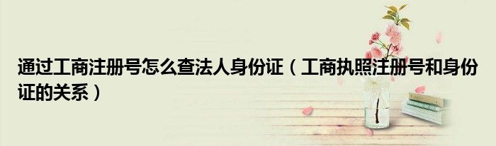 通过工商注册号怎么查法人身份证(工商执照注册号和身份证的关系)