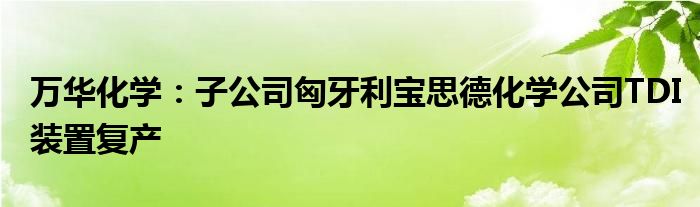 万华化学：子公司匈牙利宝思德化学公司TDI装置复产
