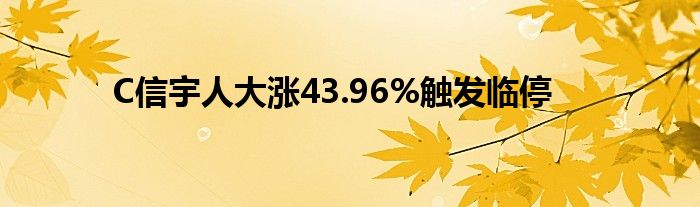 C信宇人大涨43.96%触发临停