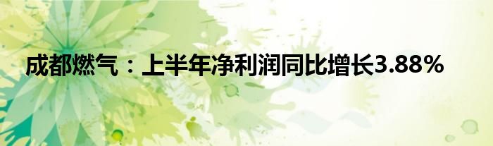 成都燃气：上半年净利润同比增长3.88%